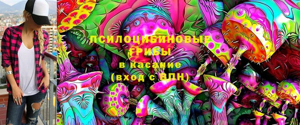 ECSTASY Покачи